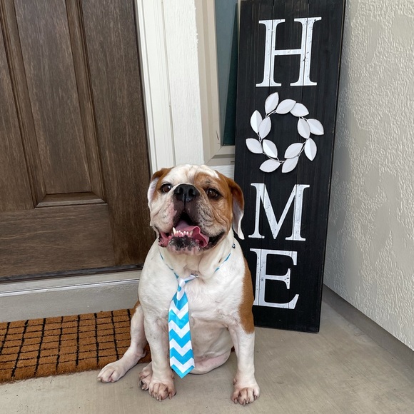 Meet your Posher, Brennan - Picture 1 of 1